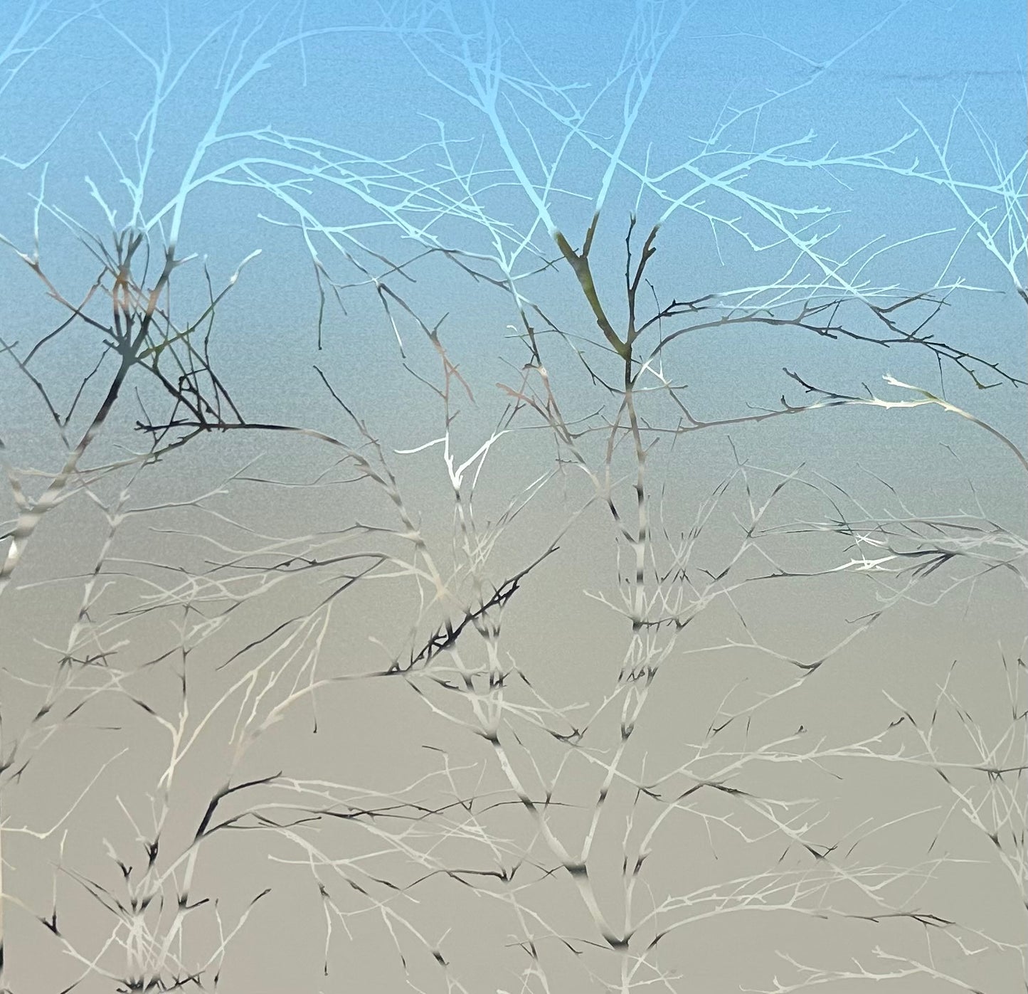 Twigs